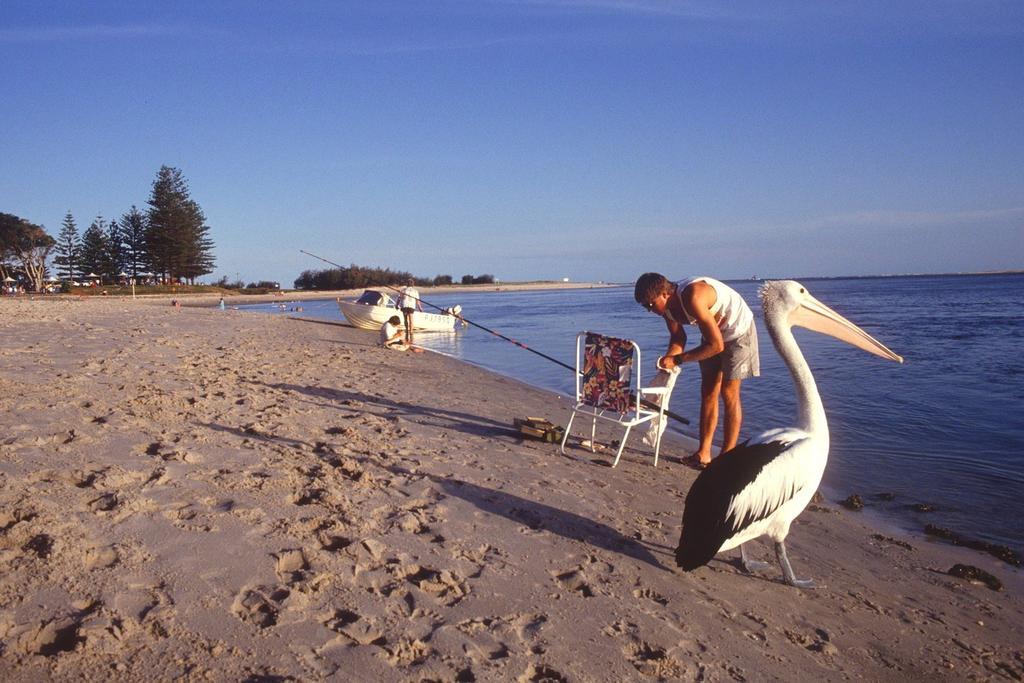 Waterview Resort Caloundra Eksteriør billede